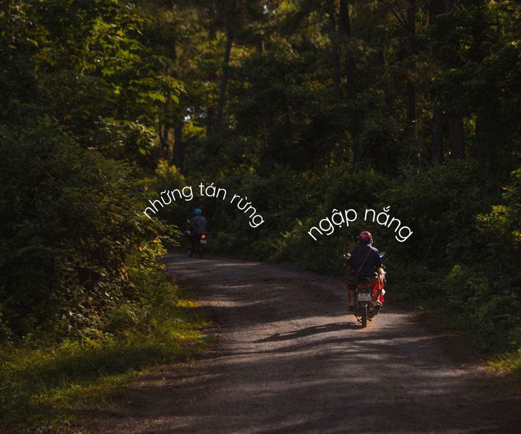 Hướng Hóa – Quảng Trị A small highland area amidst the vast Trường Sơn mountain range. - 3