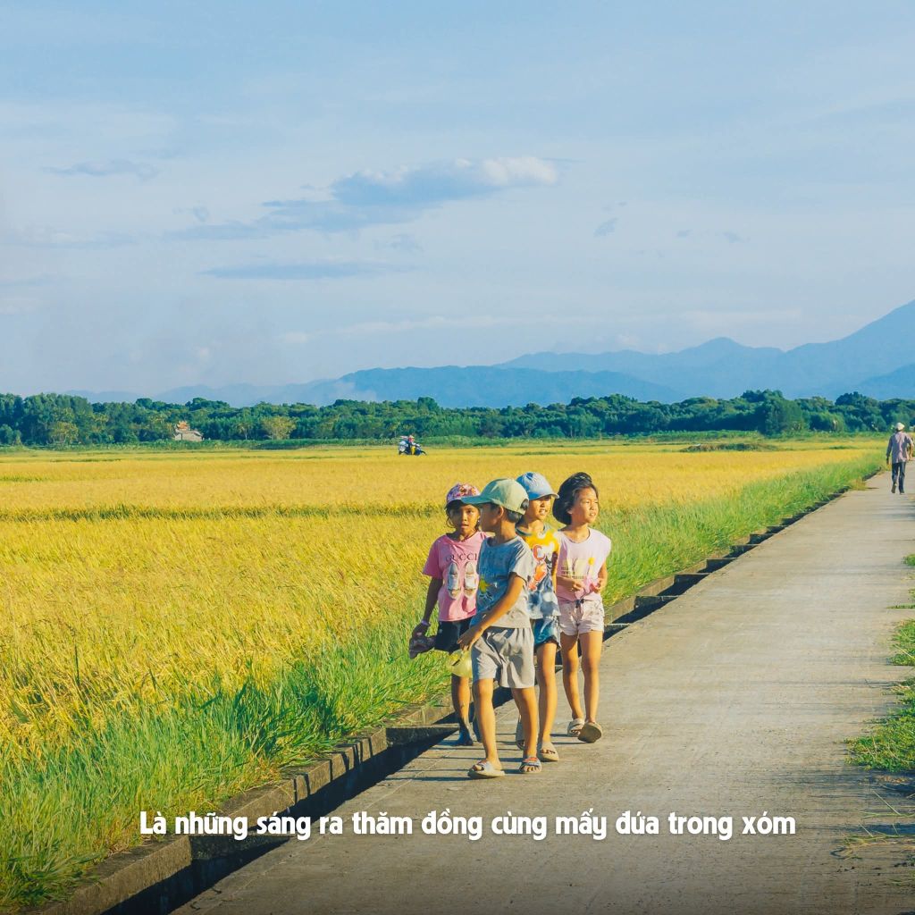 🌾 A childhood grown up in the countryside… 🌾 A childhood grown up from rural life. - 2