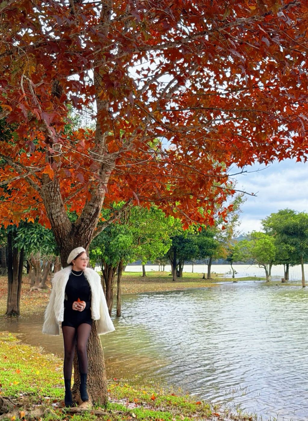 Red maple forest ❤️❤️❤️ Miss Humanity Nguyễn Thị Bình has g - 1