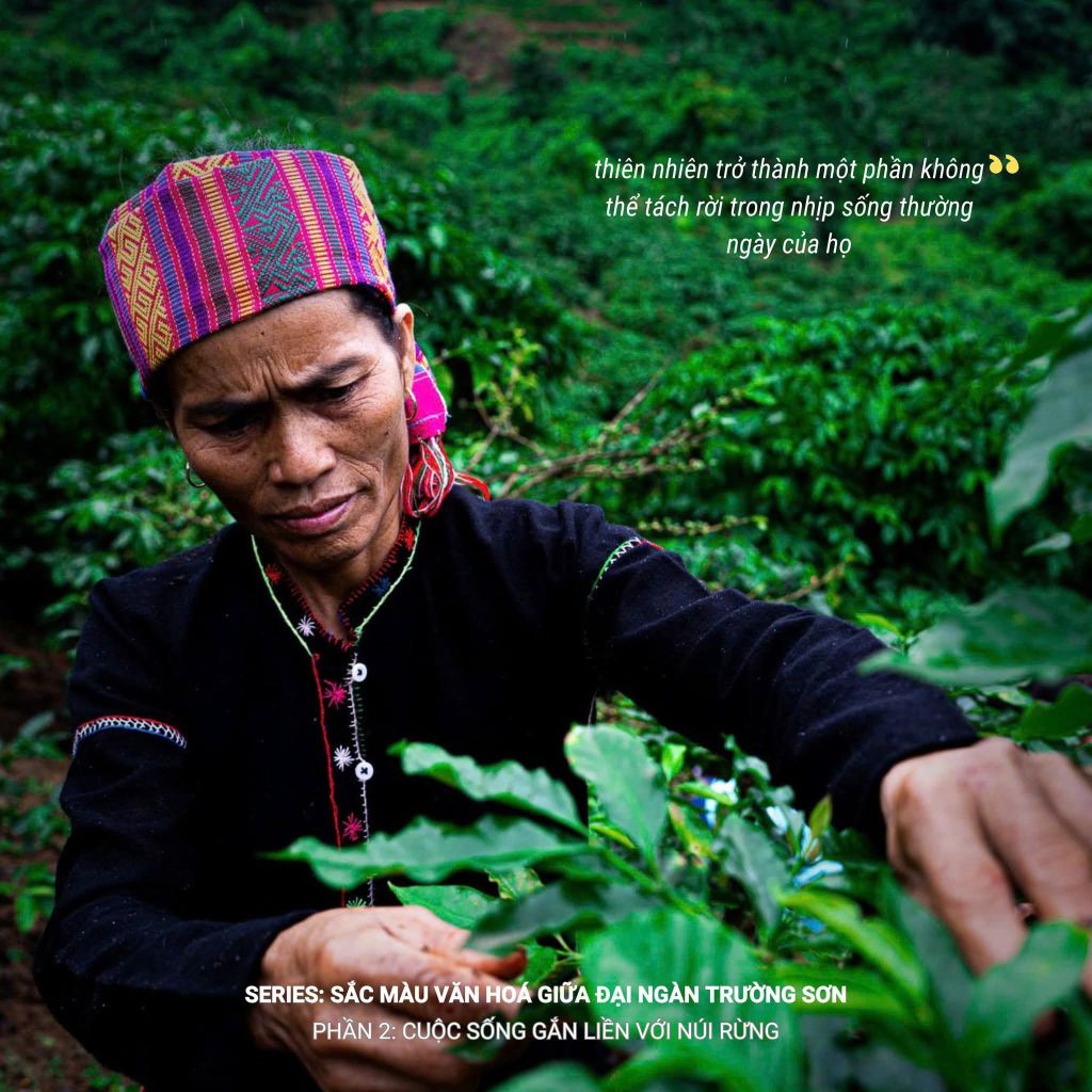 🌄 SERIES: THE COLORS OF CULTURE IN THE TRƯỜNG SƠN MOUNTAINS PART 2: C - 2