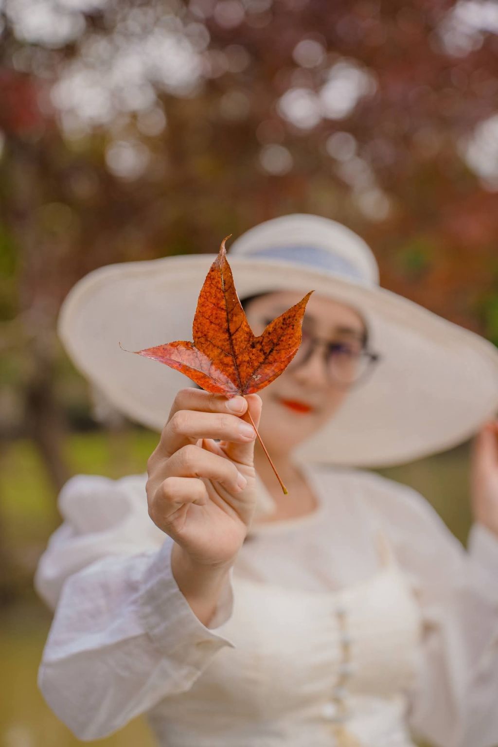 The photo series "European Sky" right in the middle of Phong Hương Forest, Quảng Trị 🍁 - 1