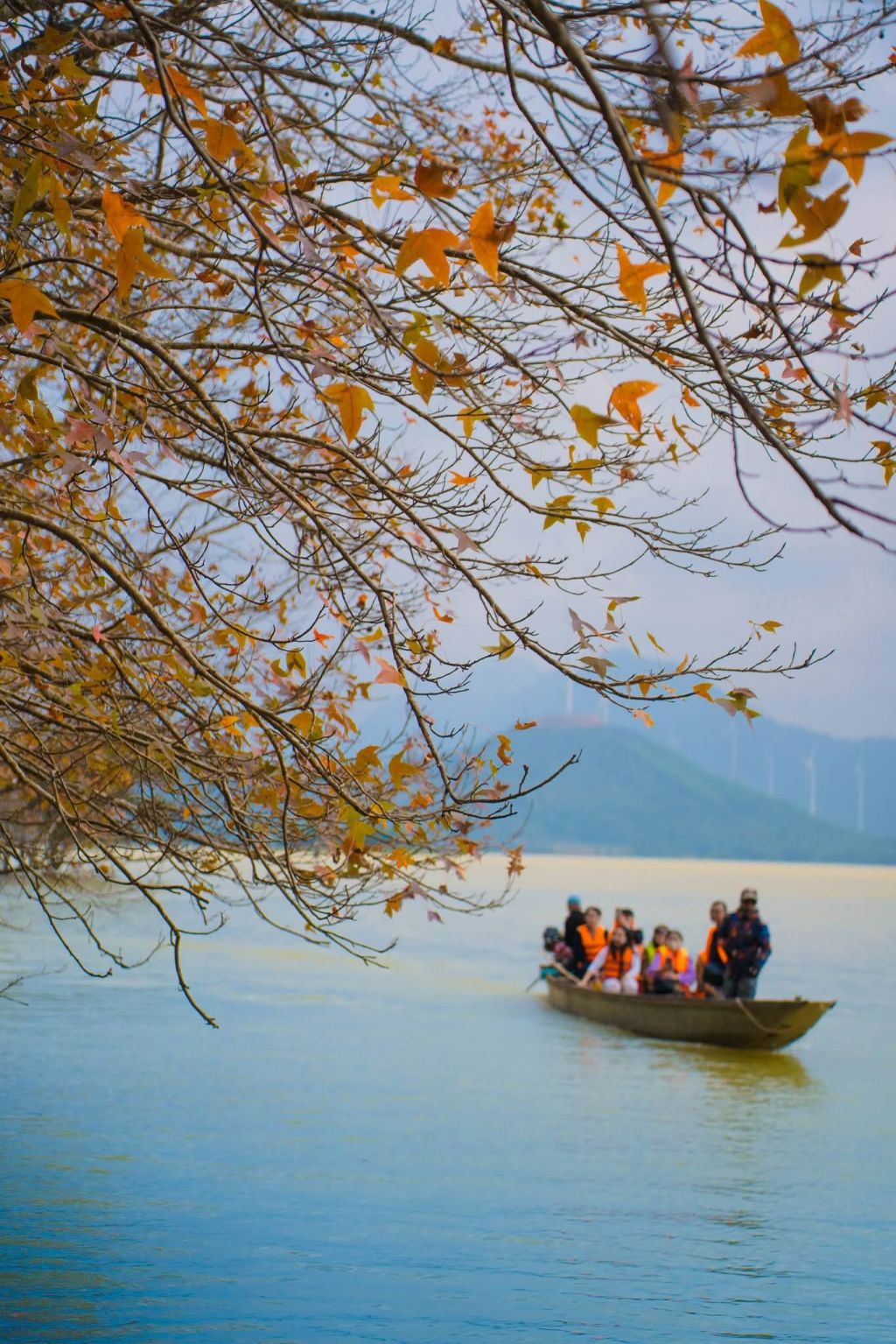 The photo series "European Sky" right in the middle of Phong Hương Forest, Quảng Trị 🍁 - 3