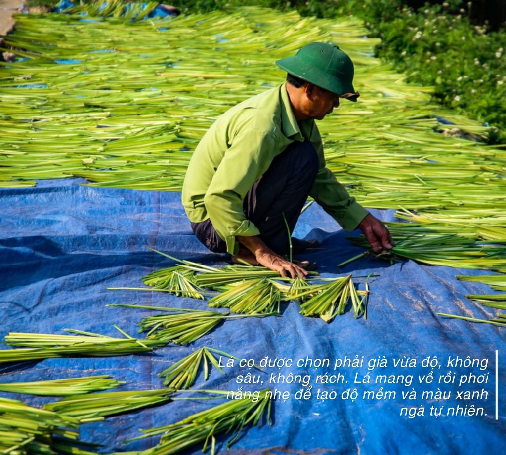 THE CONICAL HAT – OVER A CENTURY OF KEEPING VIETNAMESE SOULS ALIVE - 2