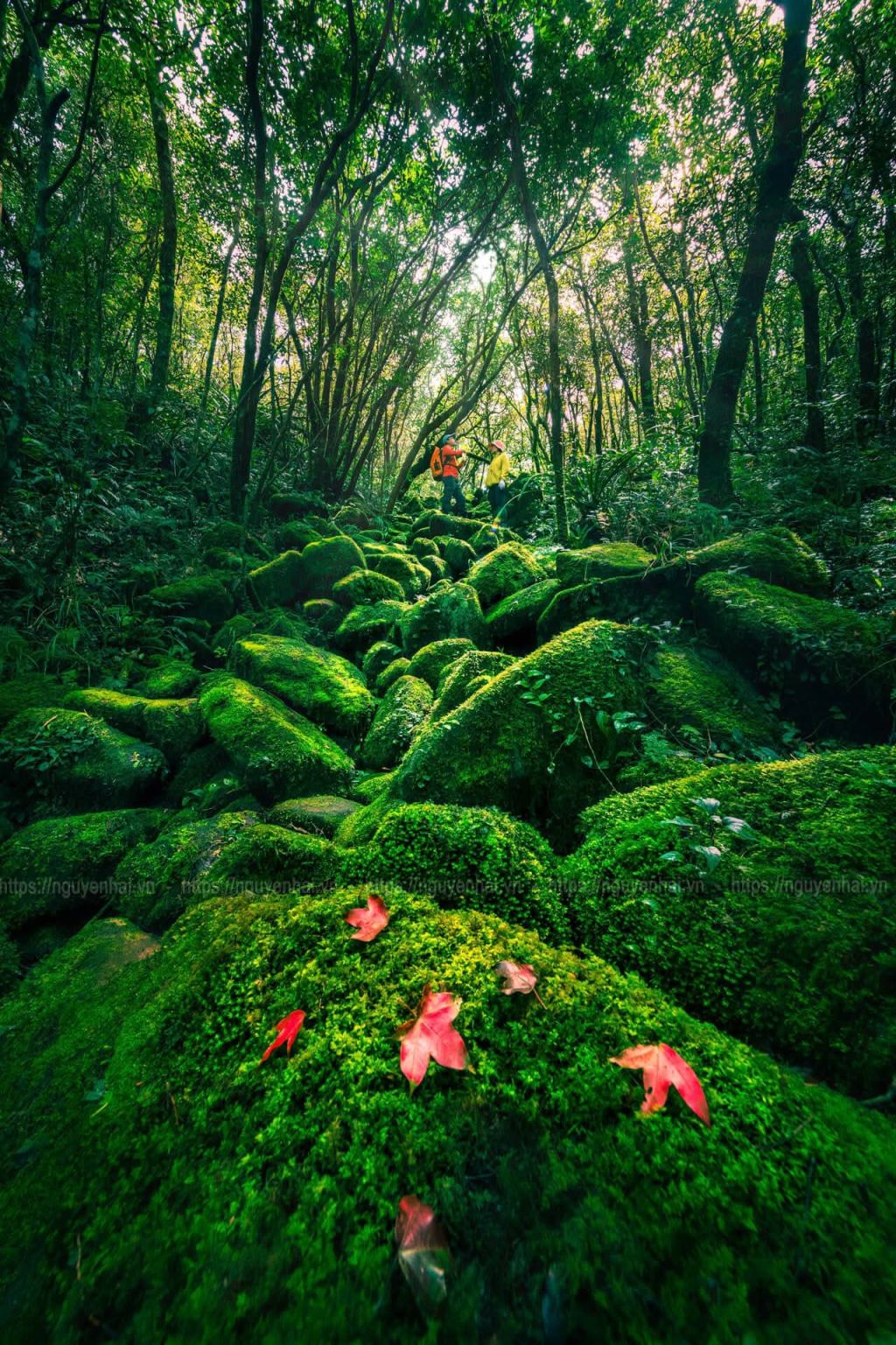 Invitation to conquer Pa Thiên – Voi Mẹp - 2