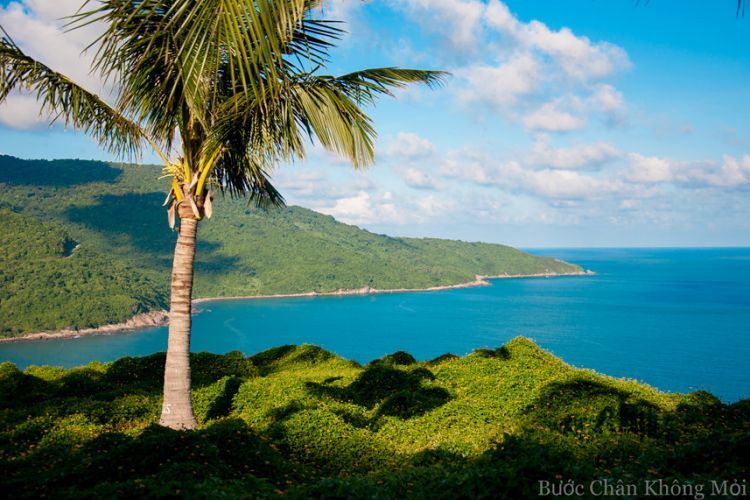 Paradise Tour Central Region