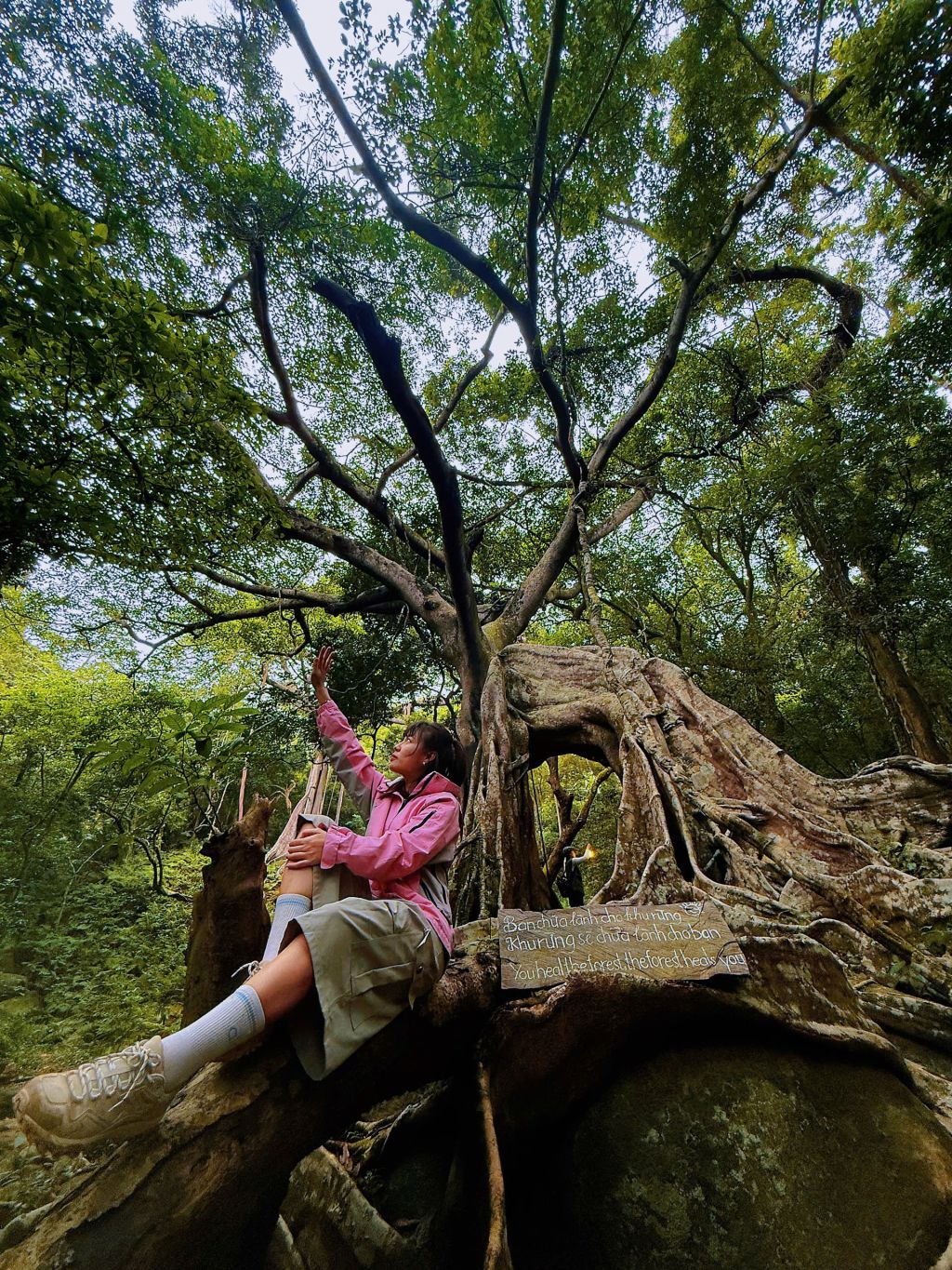 Dậy sớm trốn phố lên rừng 🌿Địa điểm trek cực thú vị ở Thất