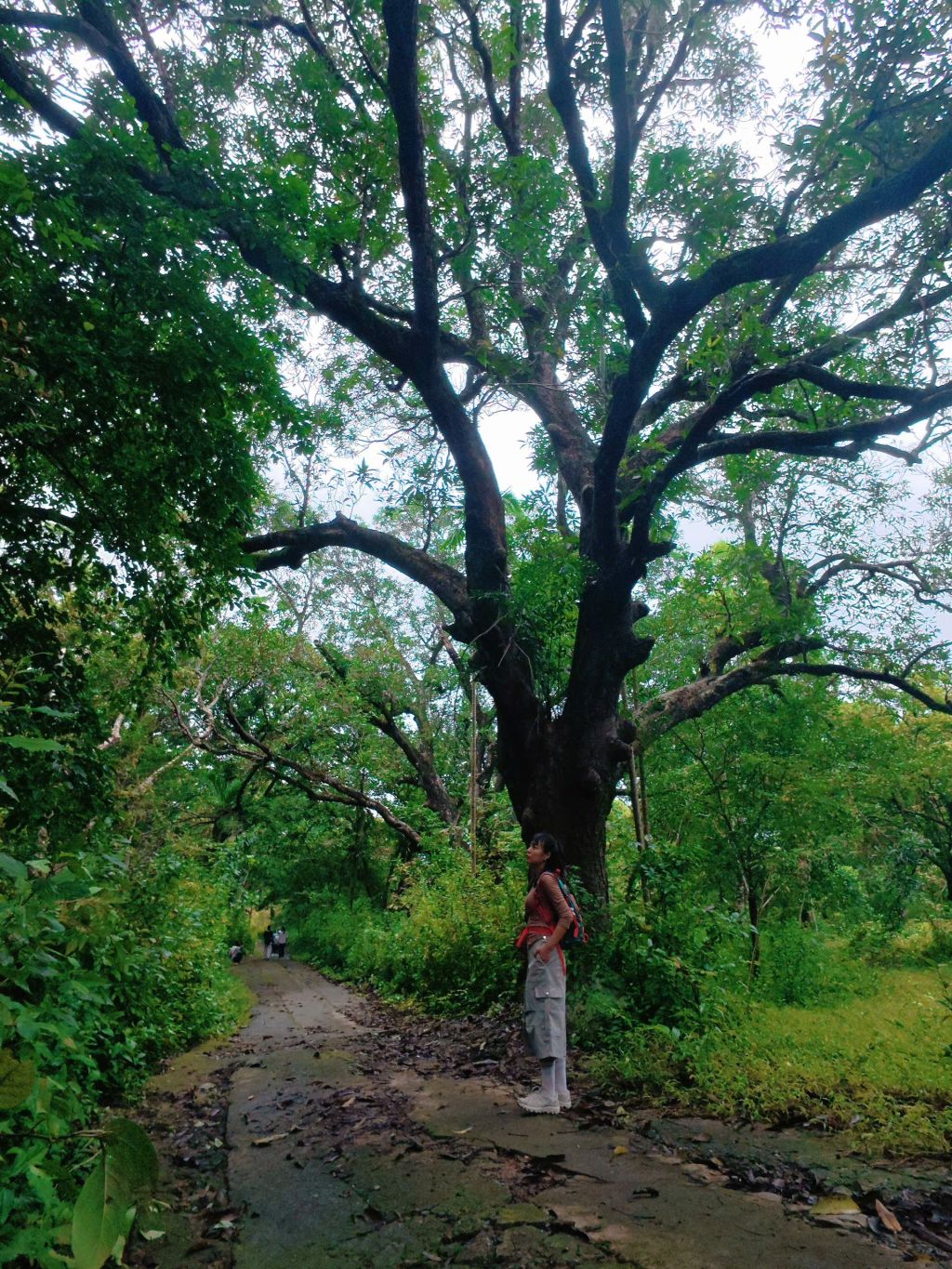 Waking up early to escape the city and head to the forest 🌿 A super interesting trekking spot in That. - 3