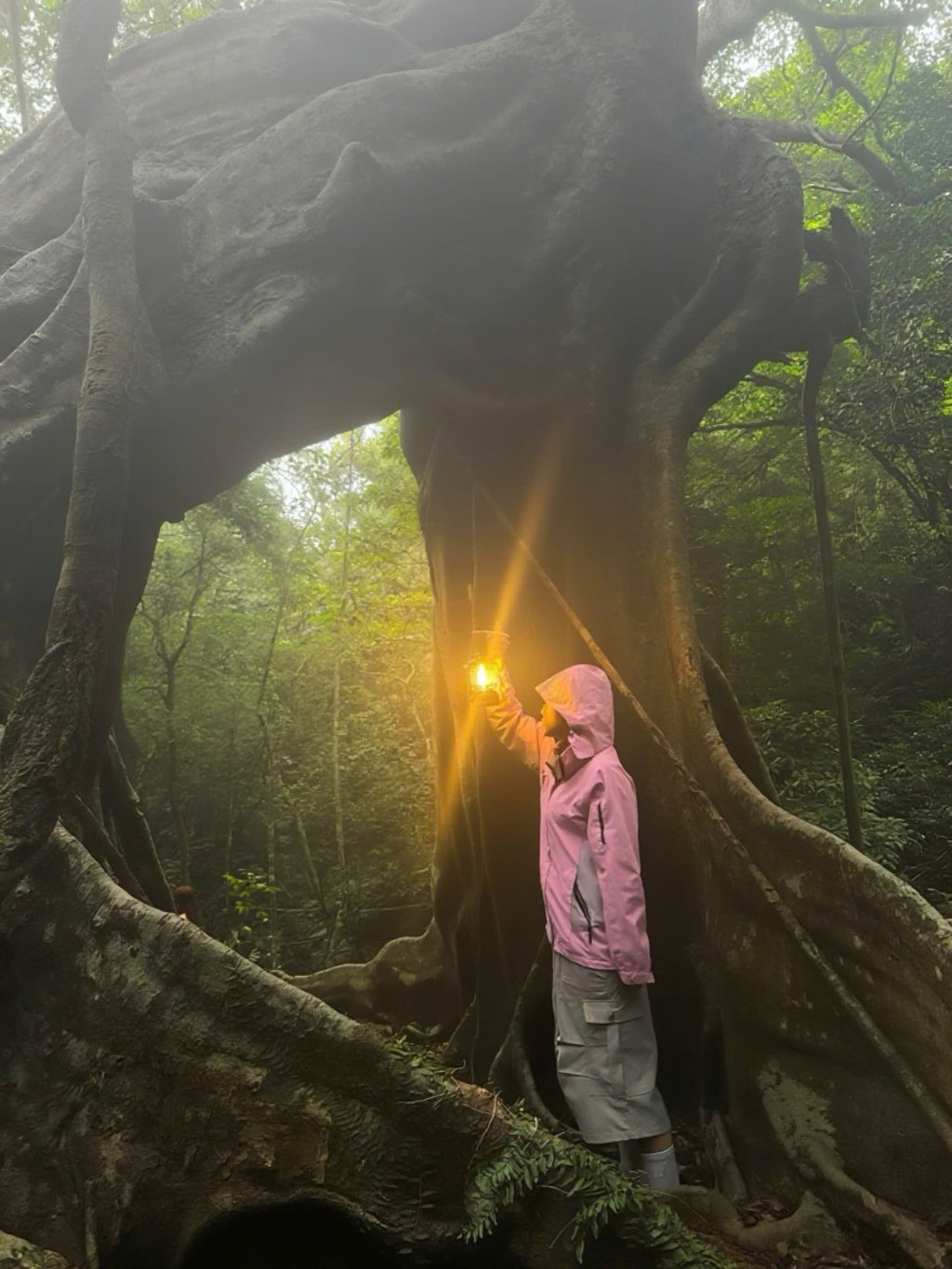 Waking up early to escape the city and head to the forest 🌿 A super interesting trekking spot in That. - 4