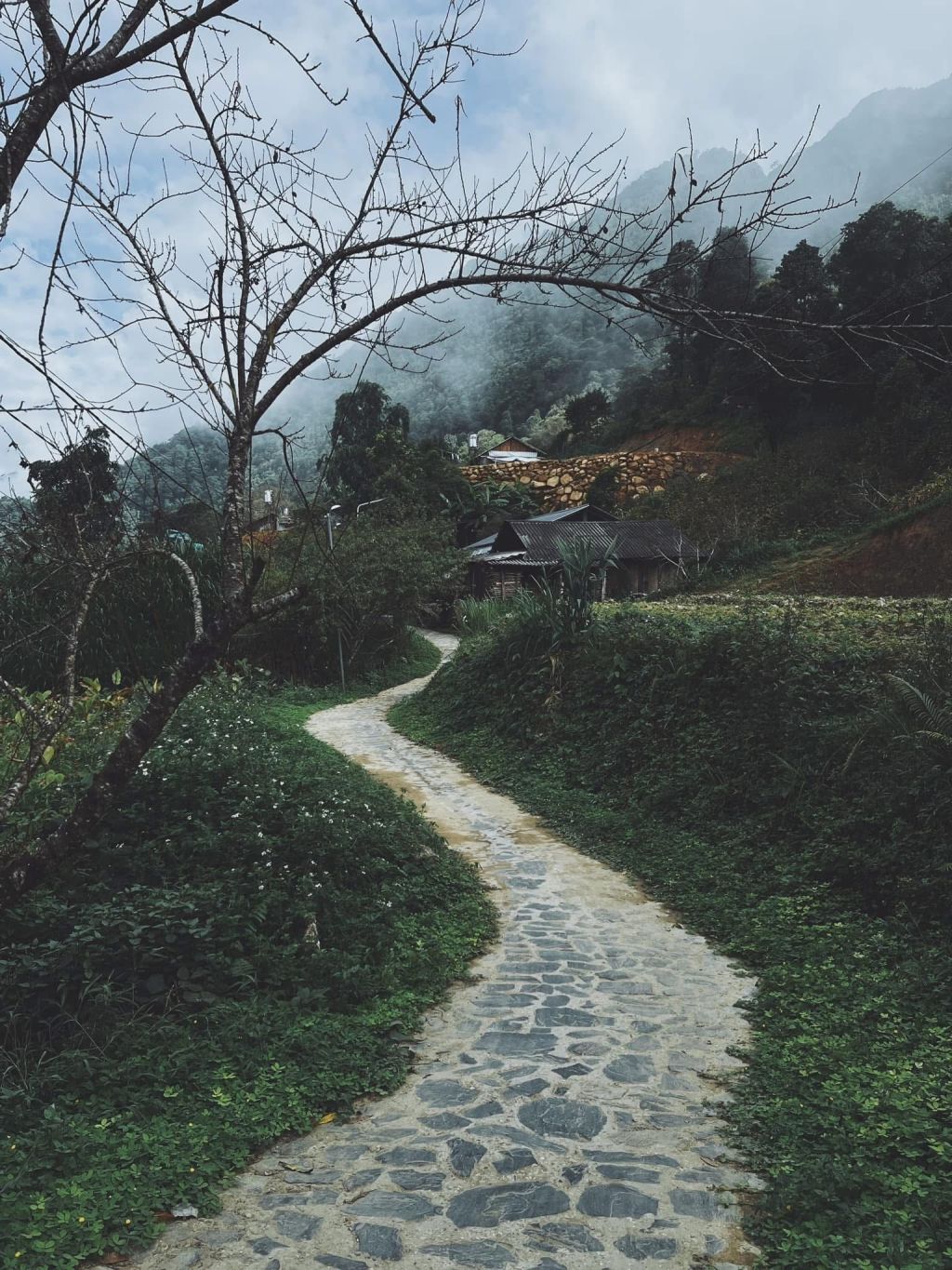 🏔️ Ban Si Thau Chai – "The best view" of Tam Duong district. There are some - 4