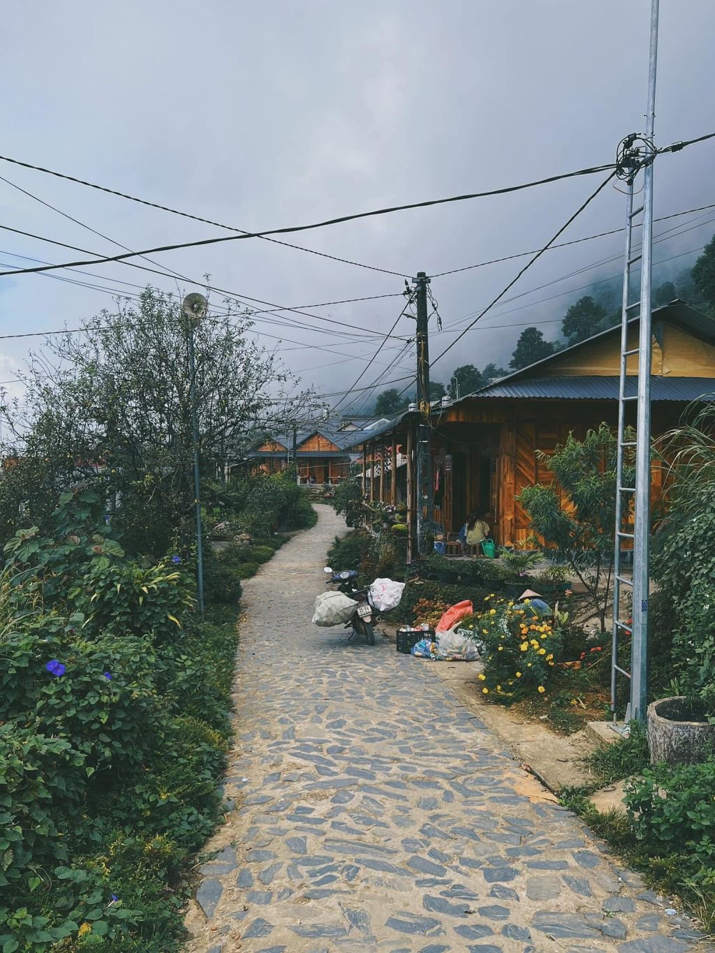 🏔️ 반 시 타우 차이 – "제일 멋진 전망" 탐 두옹 군 - 7