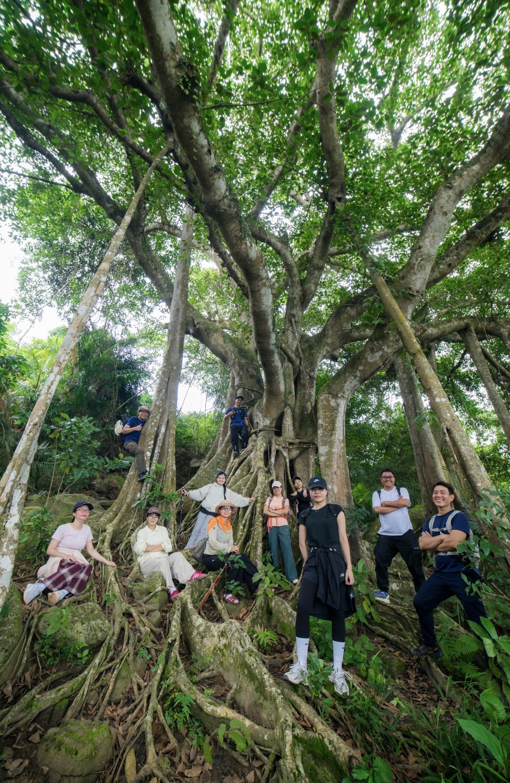 Under the thousand-year-old banyan tree on the Son Tra Peninsula (Da Nang), naturally... - 3
