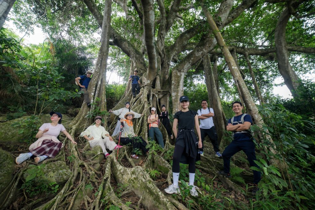 Under the thousand-year-old banyan tree on the Son Tra Peninsula (Da Nang), naturally... - 4