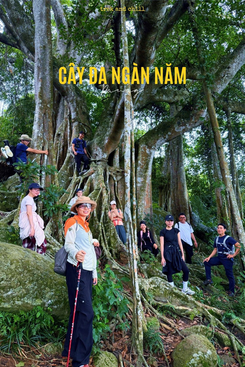 Dưới tán cây đa ngàn năm ở bán đảo Sơn Trà (Đà Nẵng), tự nhi