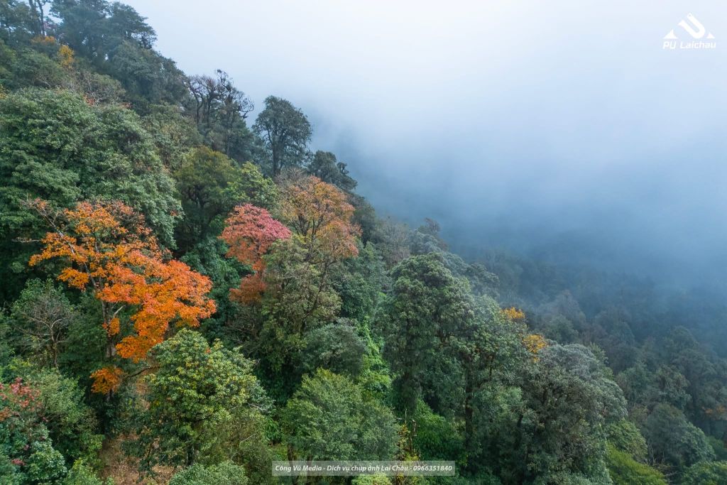 Lai Châu is really beautiful, you don't need to go far. - 3