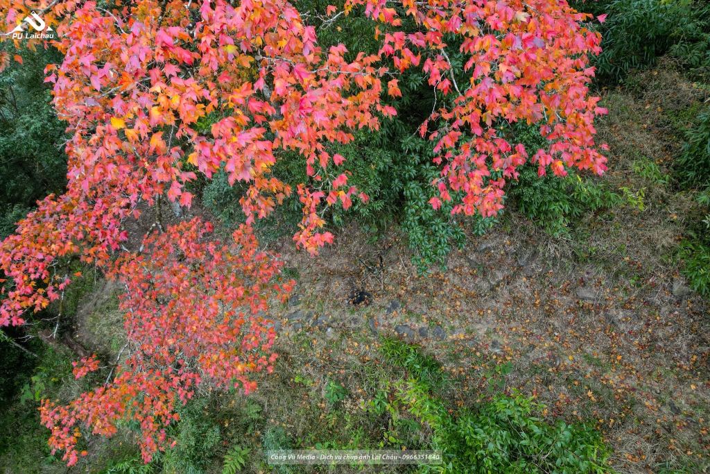 Lai Châu is really beautiful, you don't need to go far. - 4