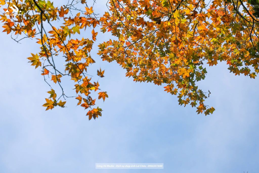 Lai Châu is really beautiful, you don't need to go far. - 5