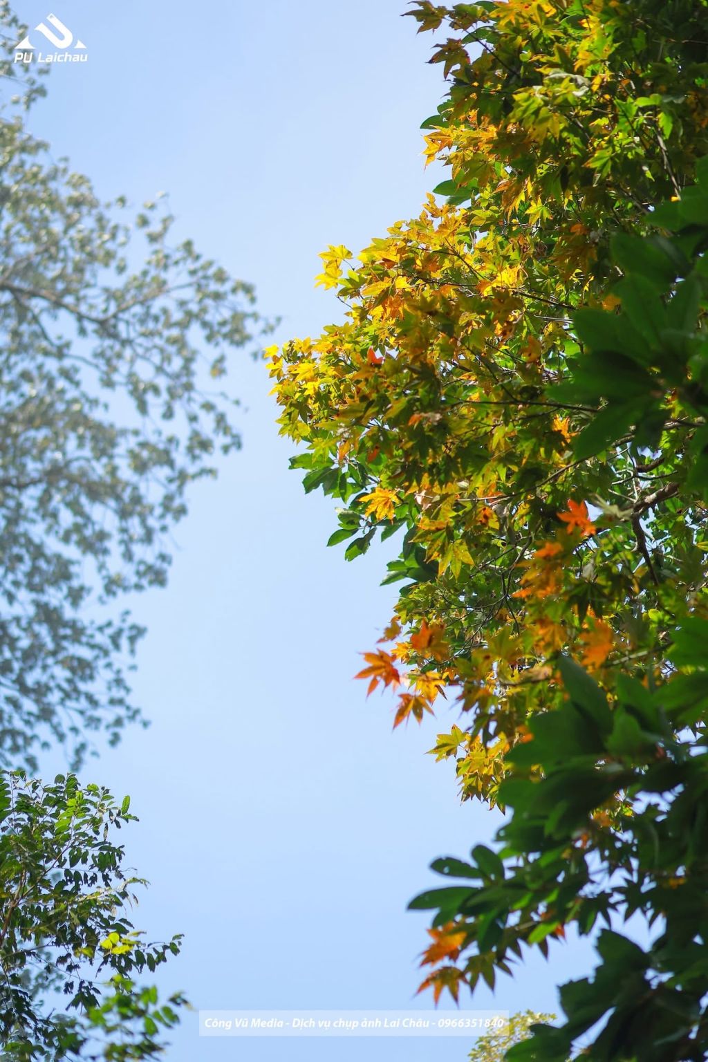 Lai Châu is really beautiful, you don't need to go far. - 7