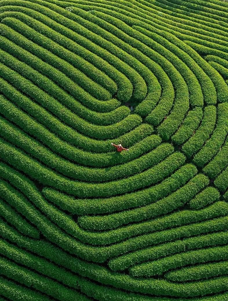 The only plateau in Vietnam set 2 records at the 'O' competition. - ảnh 7