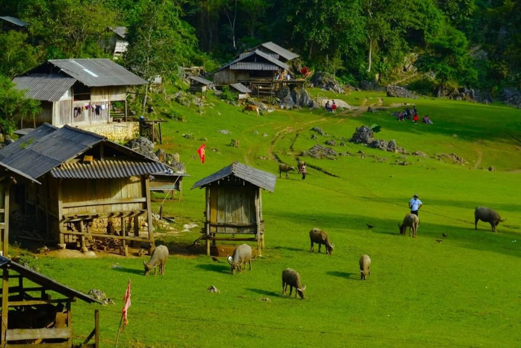 The only plateau in Vietnam set 2 records at the 'O' competition. - ảnh 8