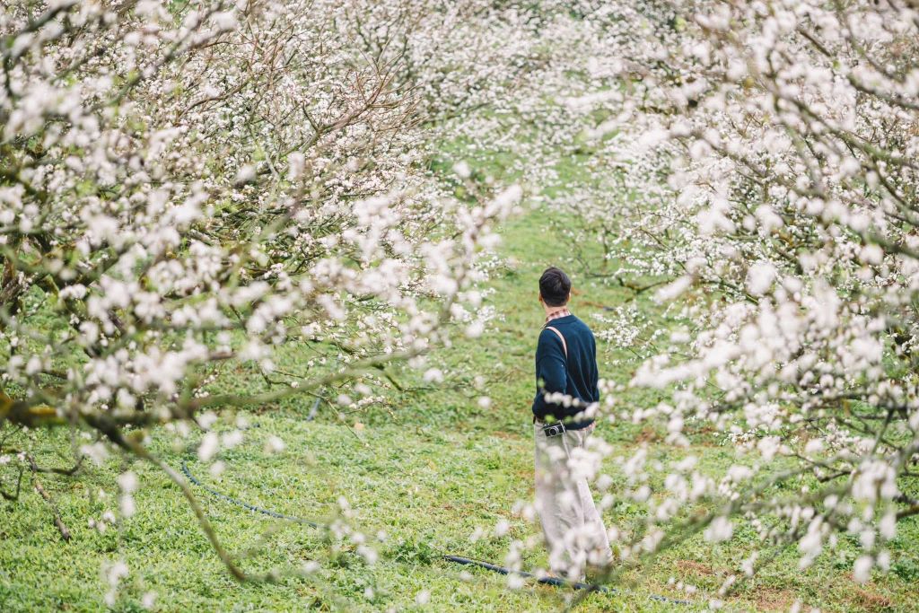 The only plateau in Vietnam set 2 records at the 'O' competition. - ảnh 9