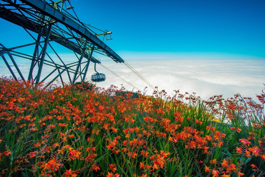 ⛰️✨ 팬시판이 “경치가 뛰어난 관광지”로 선정되었습니다. - ảnh 5