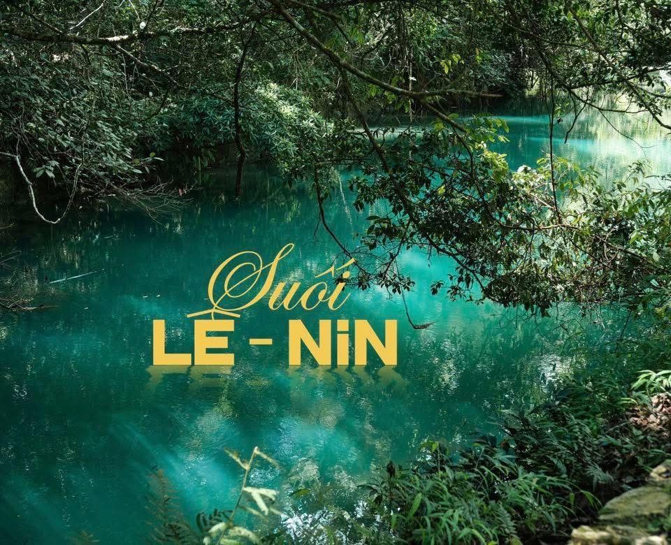 🌱 LE NIN SPRING – A POETIC BEAUTY IN THE MIGHTY OLD FOREST (PAC B) - 1