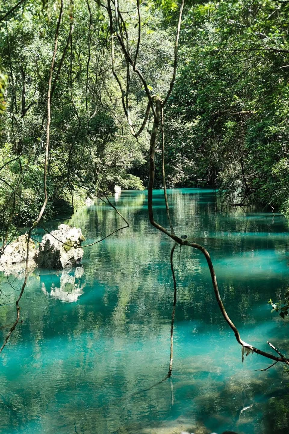 🌱 LE NIN SPRING – A POETIC BEAUTY IN THE MIGHTY OLD FOREST (PAC B) - 2