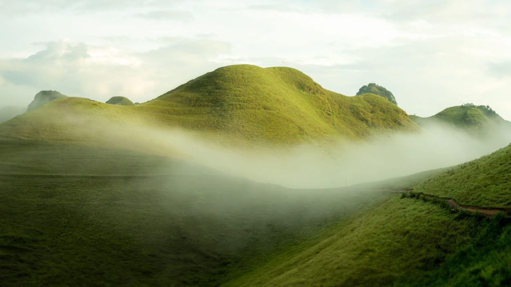 ⛰️ BA QUÁNG GRASS HILL (VINH QUÝ) – BEAUTIFUL LIKE A MOVIE EVERY SEASON - 3