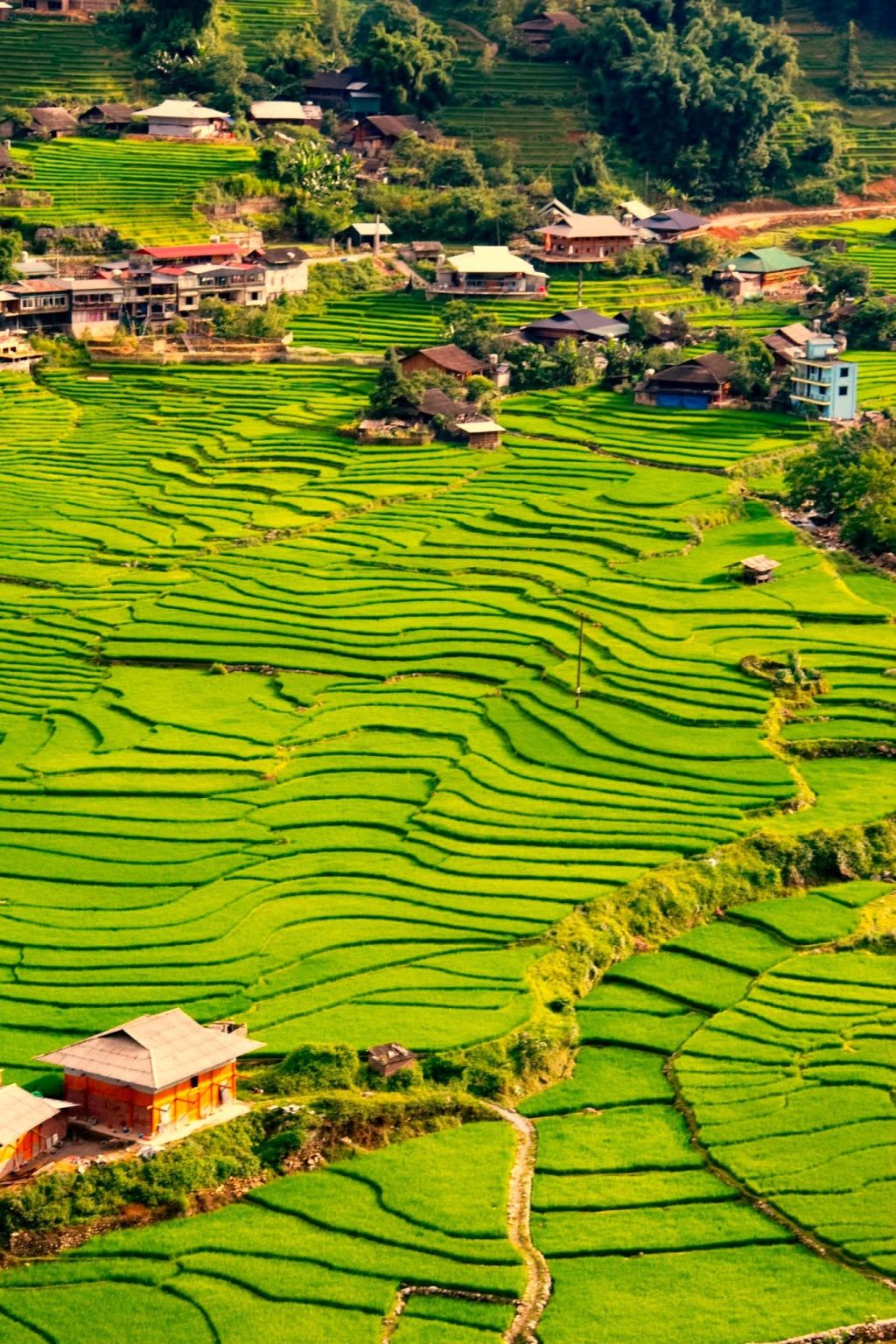 "A different Vietnam" in the most beautiful village in Asia – Ta Van (Sa) - 2