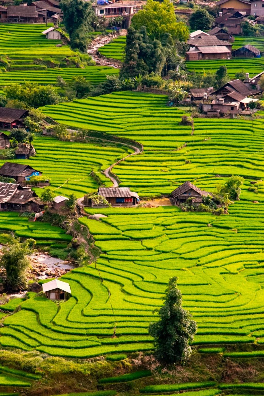 "A different Vietnam" in the most beautiful village in Asia – Ta Van (Sa) - 3