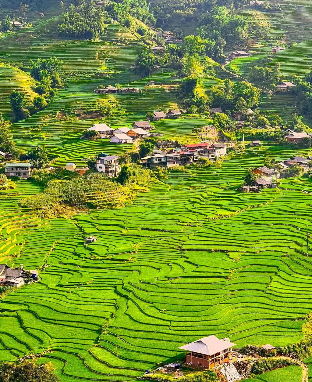 "A different Vietnam" in the most beautiful village in Asia – Ta Van (Sa) - 4