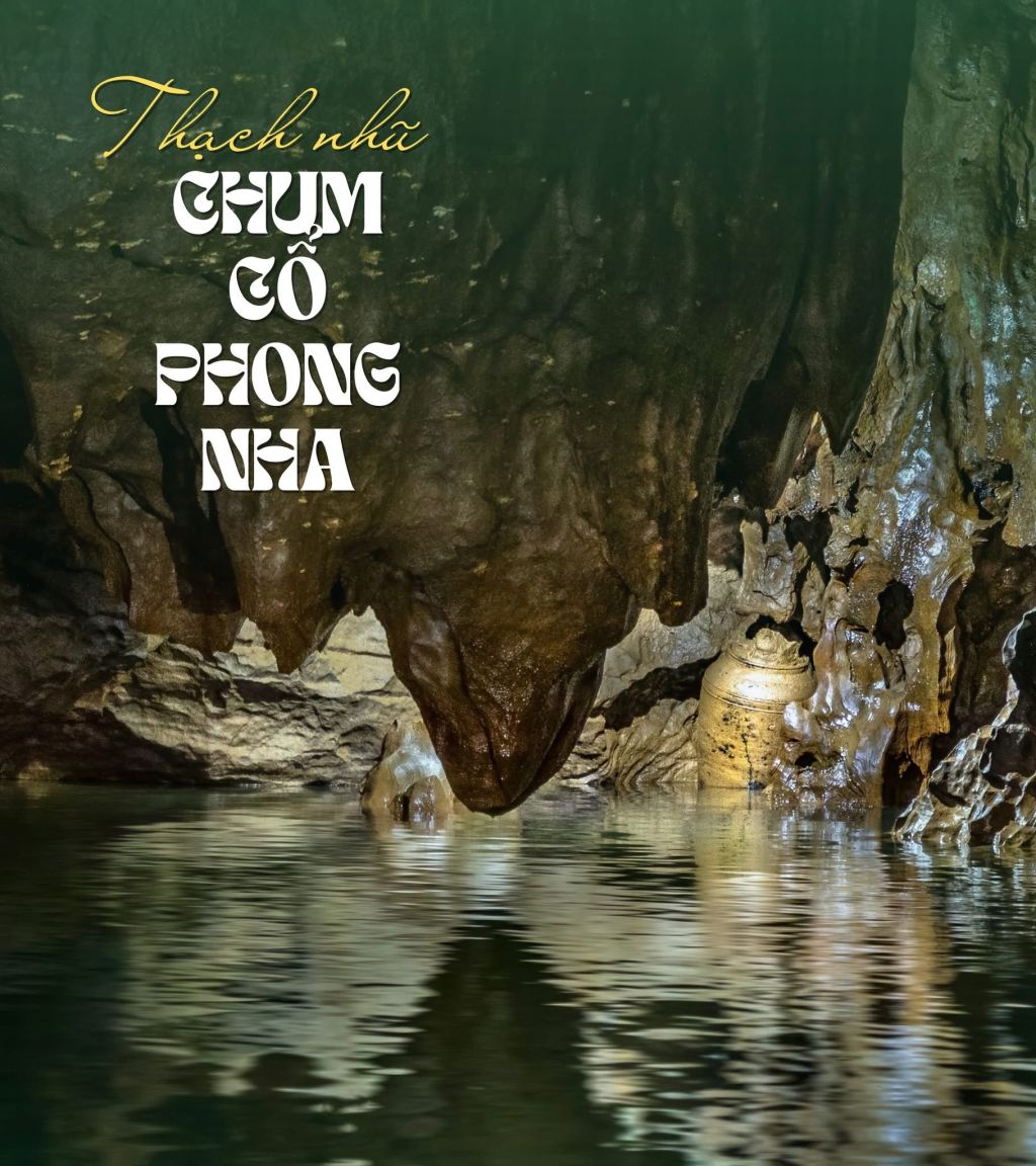 PHONG NHA CAVE – STALACTITES WITH MYSTERIOUS NAMES - ảnh 5