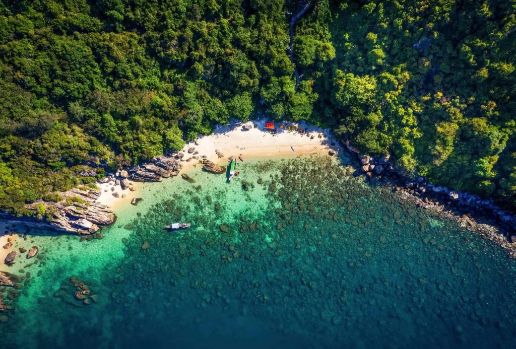 🏝️ 桑查岛 – 森林与碧海相接之地 - ảnh 1