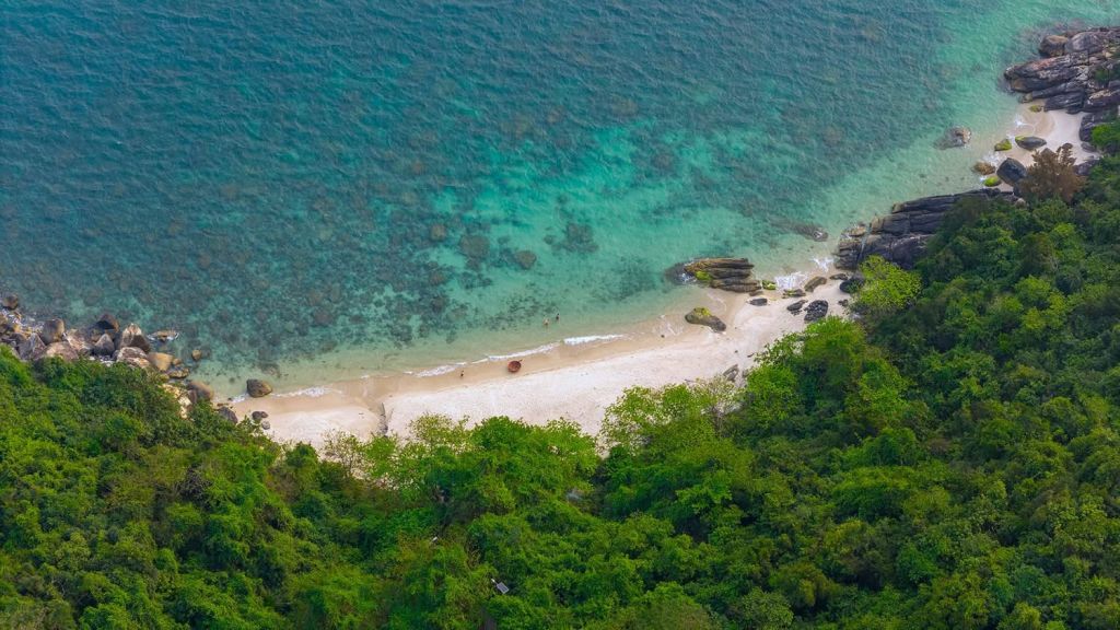 🏝️ 桑查岛 – 森林与碧海相接之地 - ảnh 2