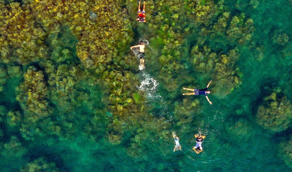 🏝️ 桑查岛 – 森林与碧海相接之地 - ảnh 3