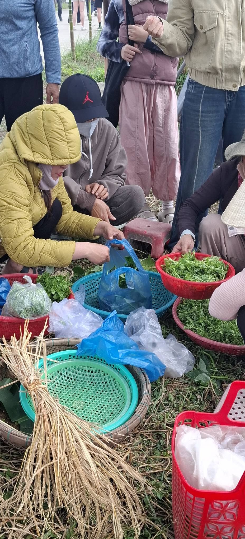 AN MY VEGETABLE VILLAGE AGRICULTURAL SEASON OPENING FESTIVAL – HOI AN - 2