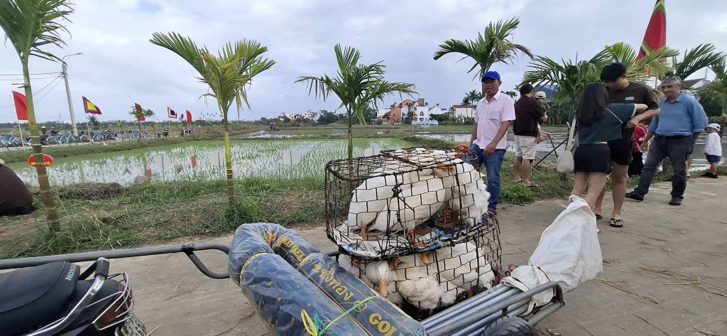 AN MY VEGETABLE VILLAGE AGRICULTURAL SEASON OPENING FESTIVAL – HOI AN - 4