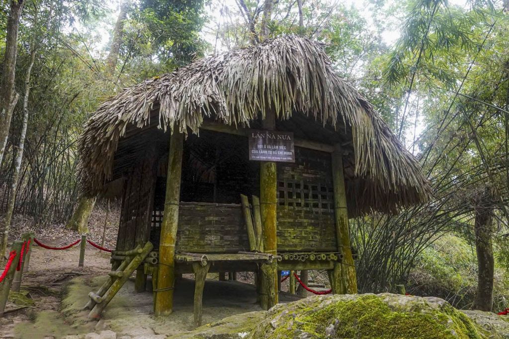 🌳 Le site du Ficus de Tân Trào – Symbole de la "Capitale de la résistance" - ảnh 5