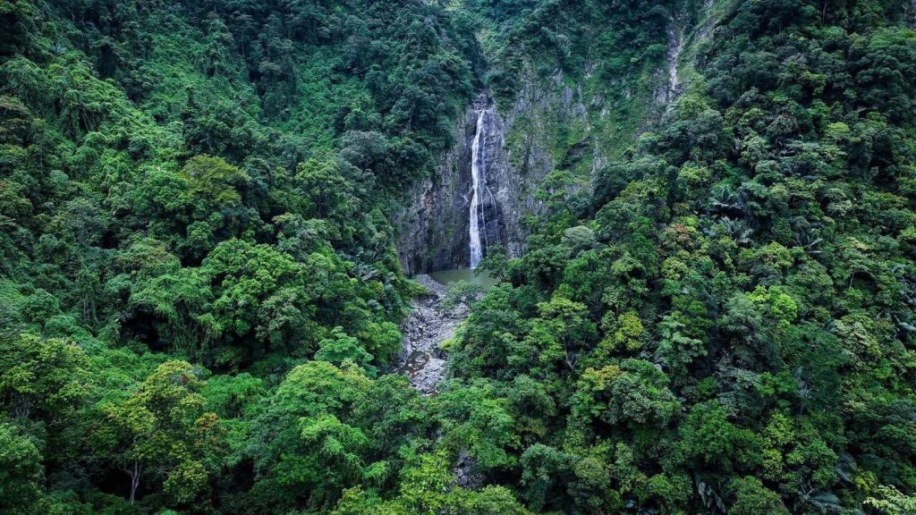 💦 Cascada Hùng Ngàn – “Tesoro” escondido en el bosque de Quảng Ngãi. - 4