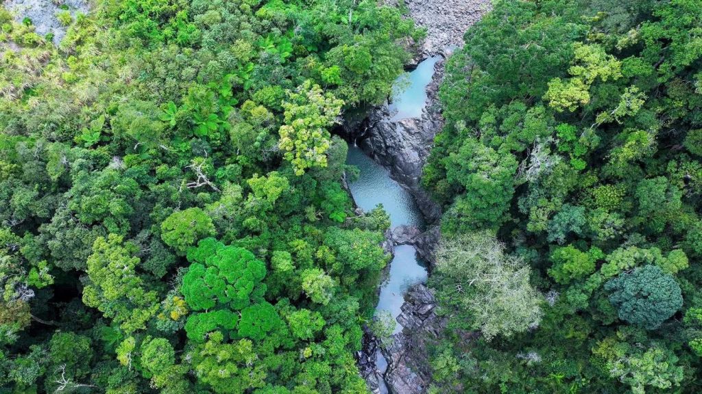 Hùng Ngàn Waterfall – A "hidden gem" nestled in the Quang Ngai forest. - ảnh 8