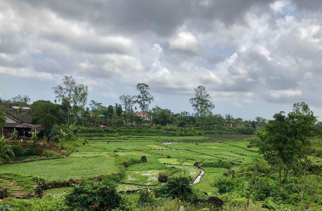 ANCIENT WELL OF GIO AN – WISDOM OF A THOUSAND YEARS - 2