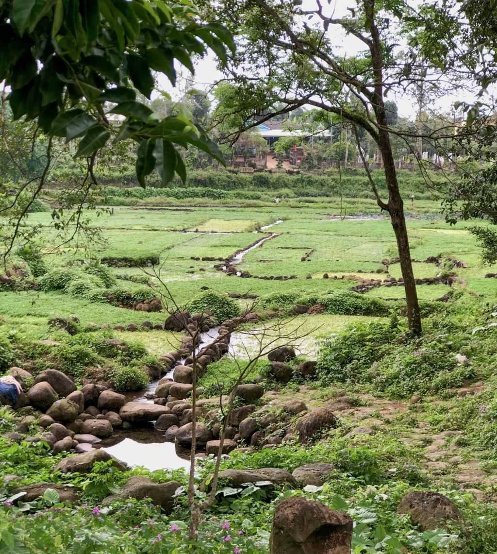 ANCIENT WELL OF GIO AN – WISDOM OF A THOUSAND YEARS - 4