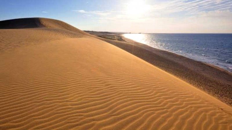 QUANG PHÚ SAND DUNE: "LITTLE DESERT" ATTRACTING VISITORS IN QUANG BINH - 5