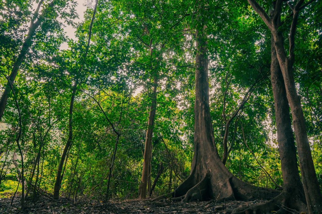 Senderismo Hang Chỉ Huy – Toca el corazón del patrimonio. - 6