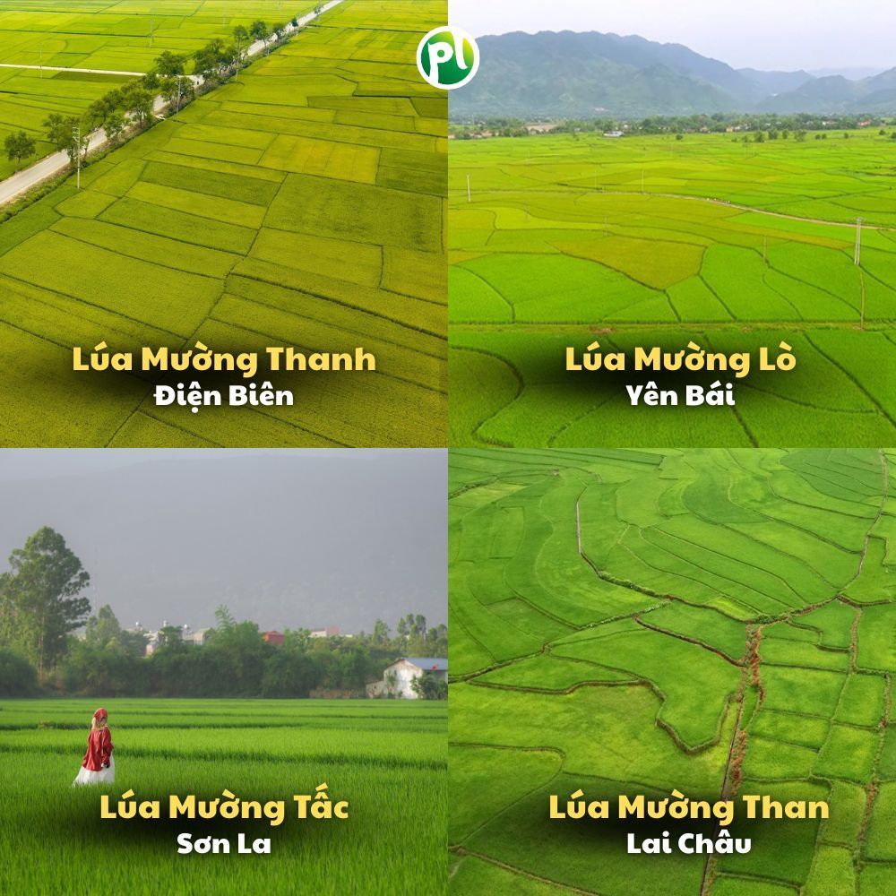 Goal 2026: Check-in at all four major destinations of Vietnam. - 4