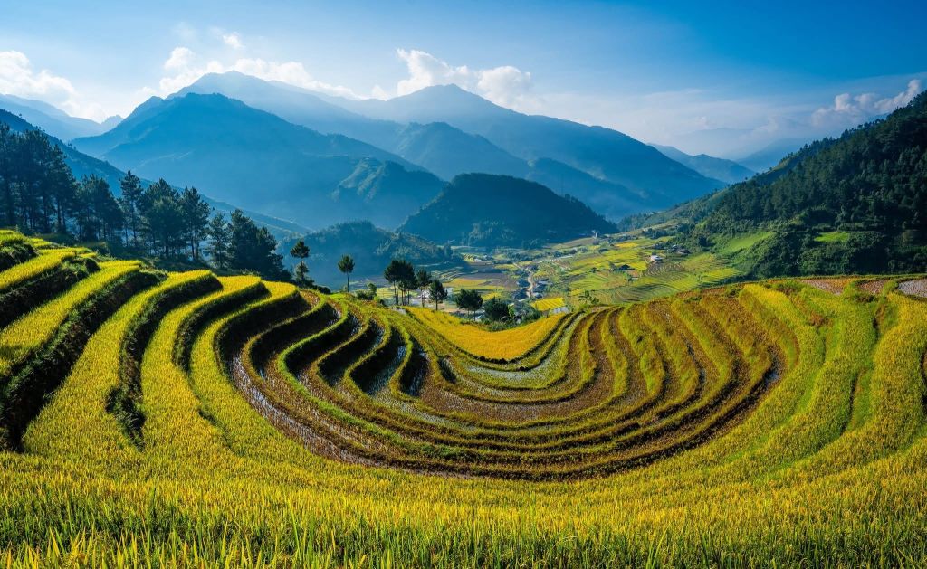 Have you ever heard of a place called "Happiness"? In the middle of the... - 2