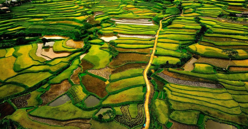 Have you ever heard of a place called "Happiness"? In the middle of the... - 4