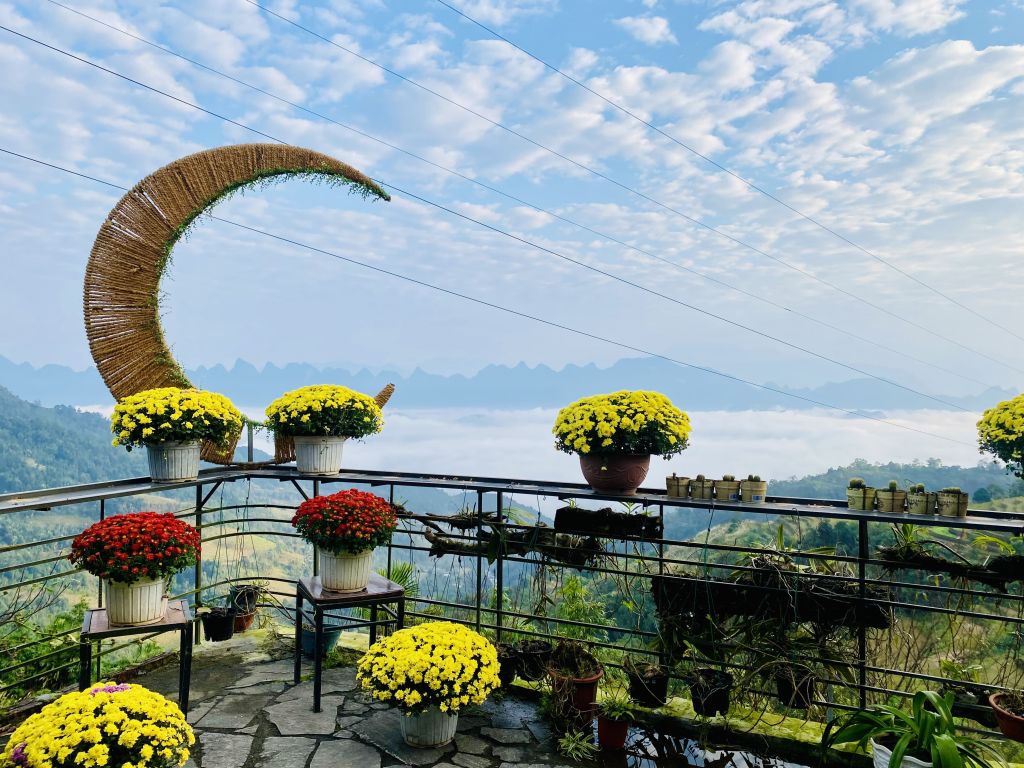 🌸 설날이 다가오는 구오이 미 - 3