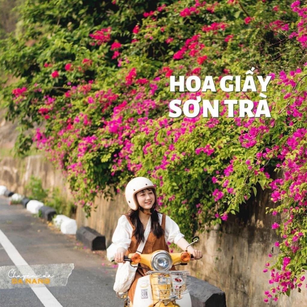 📍모든 손짜 체크인 장소 -----출처 - 4