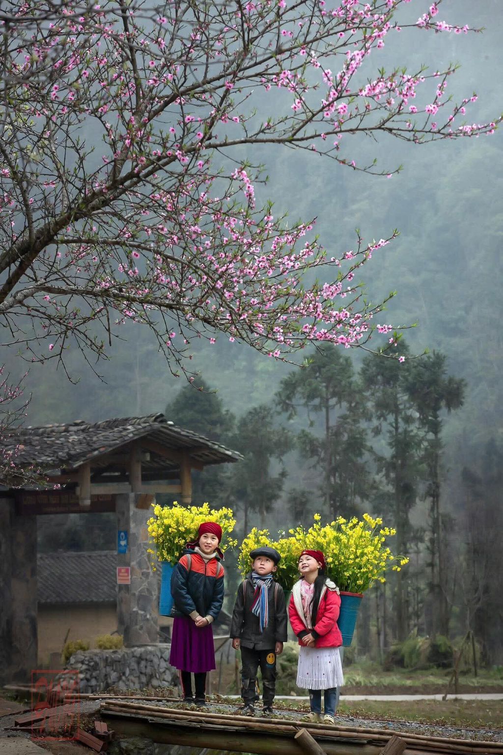 Spring in Ha Giang appears very gently, very softly – just like itself. - 1